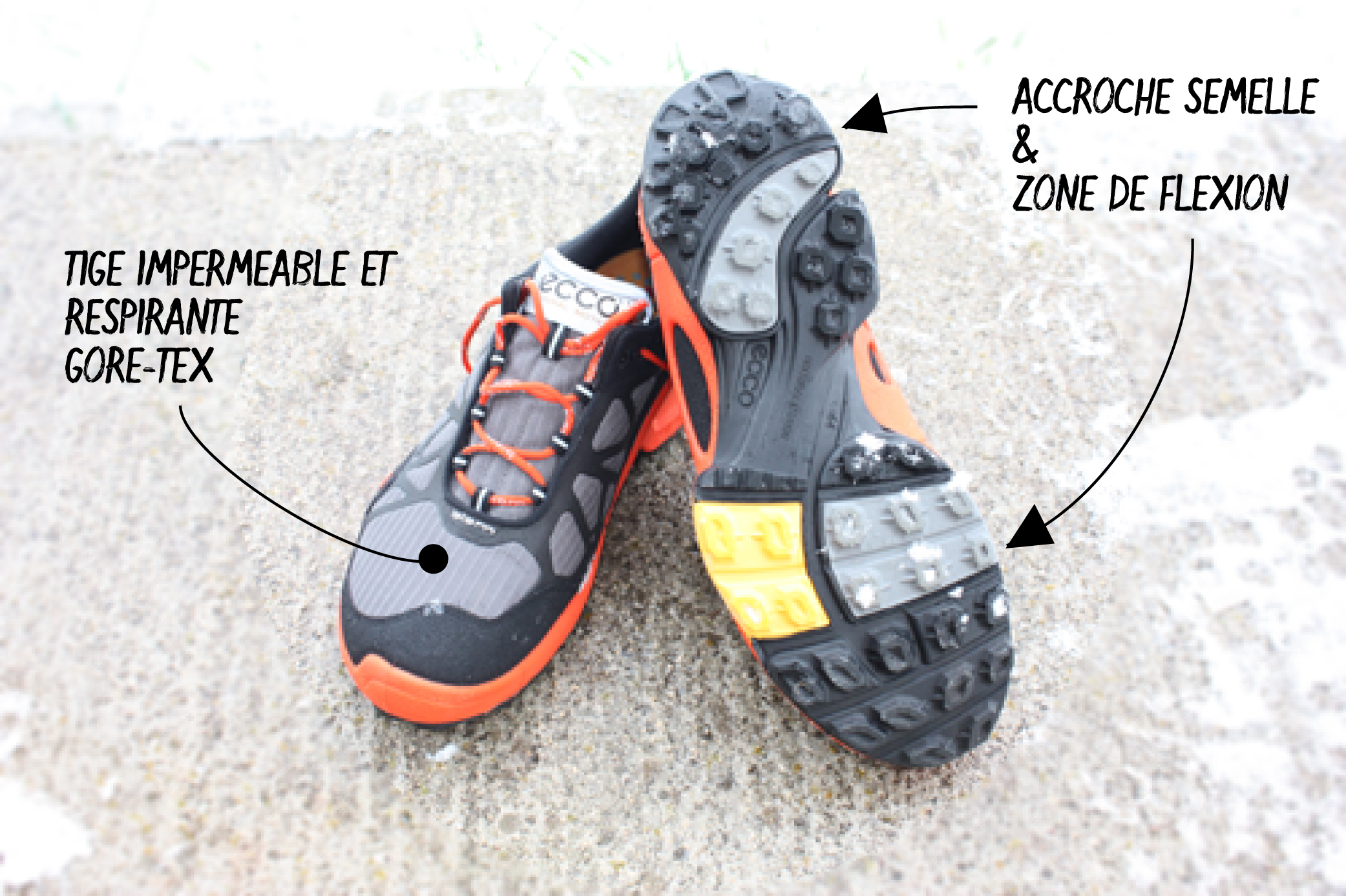 quelles chaussures pour nordic walking