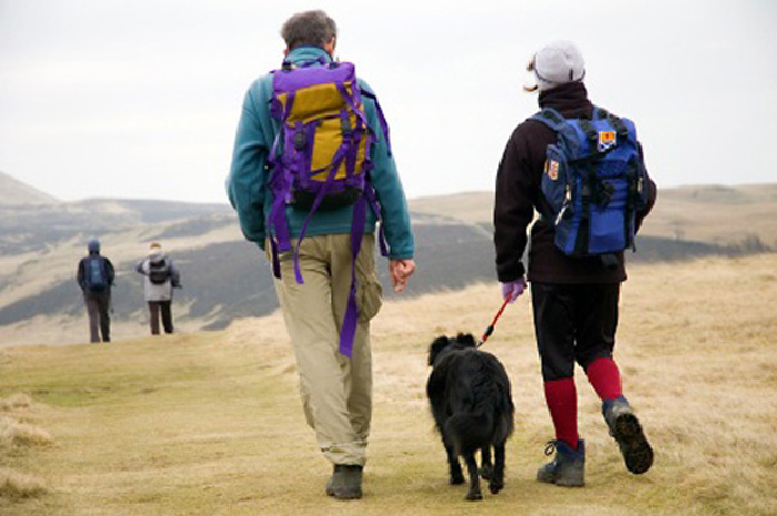 Marche avec un chien Marche avec un chien
