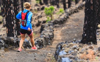 Speed hiking en foret Speed hiking en foret